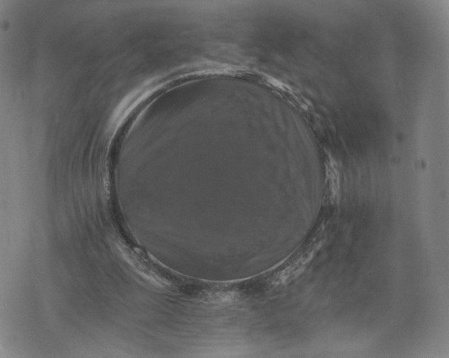 X0000075860247200610151642