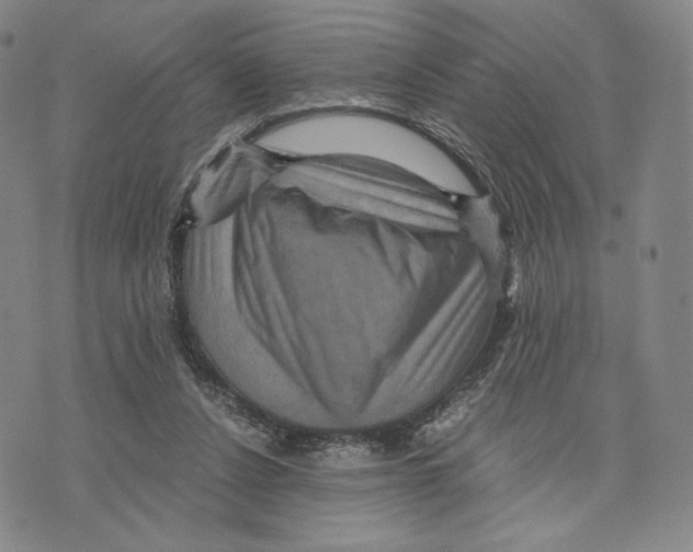 X0000075860256200610151642