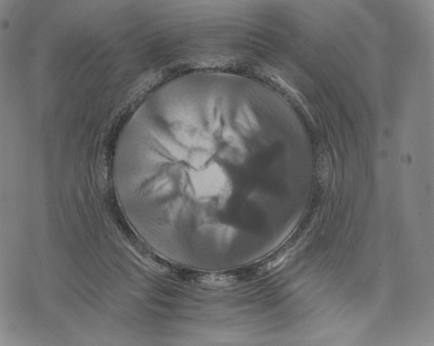 X0000075860261200610151642