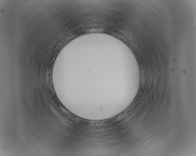 X0000075860263200610151643