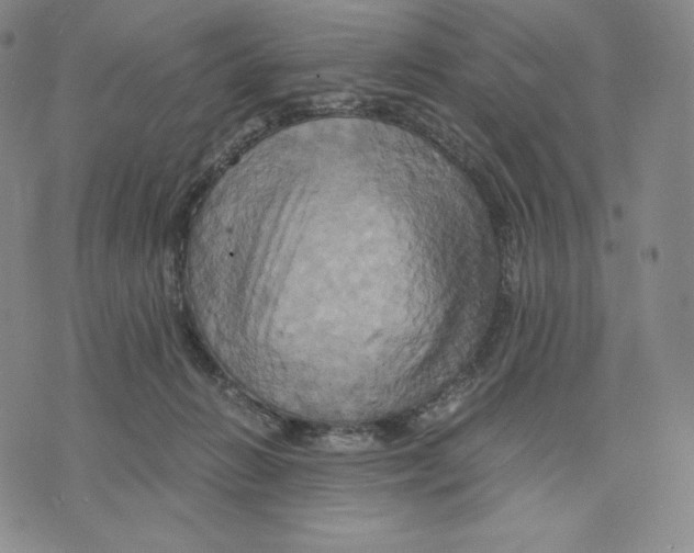 X0000075860270200610151643