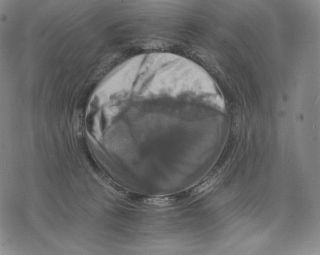 X0000075860273200610151643