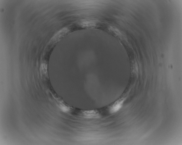 X0000075860281200610151643