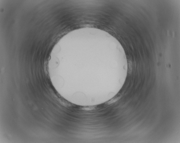 X0000075860286200610151643
