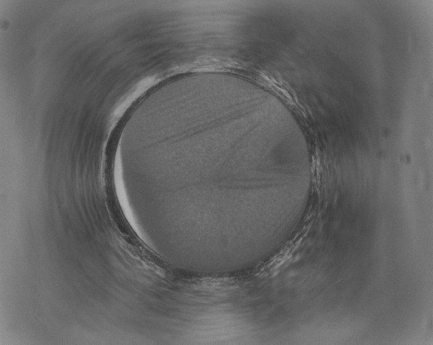 X0000075860292200610151642