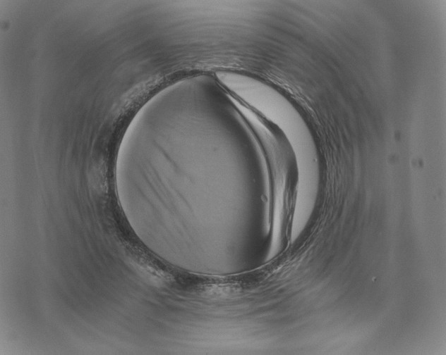 X0000075860303200610151642