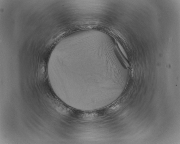 X0000075860314200610151642