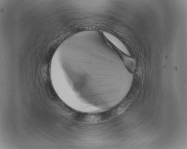 X0000075860319200610151642