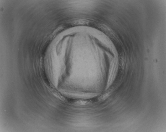 X0000075860326200610151642