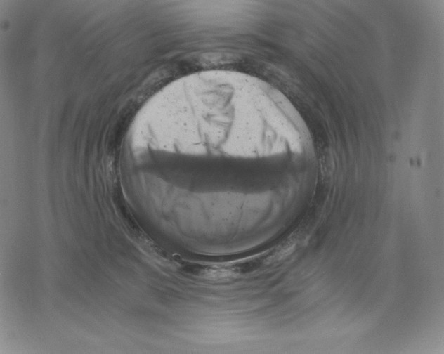 X0000075860327200610151642