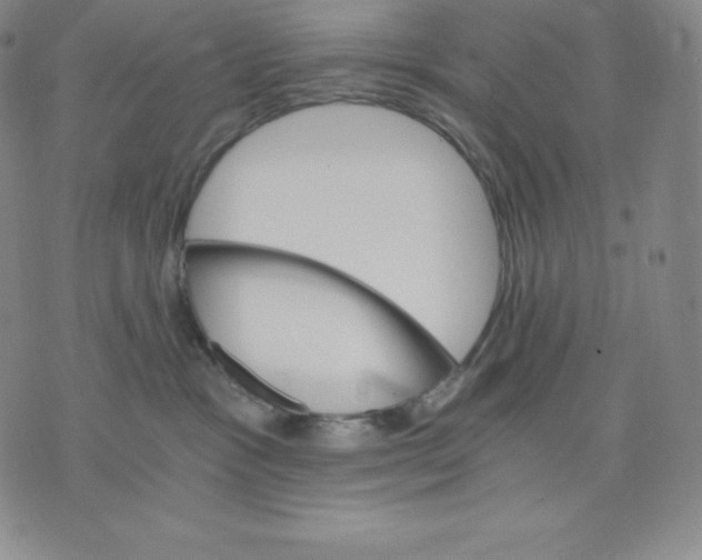 X0000075860333200610151641