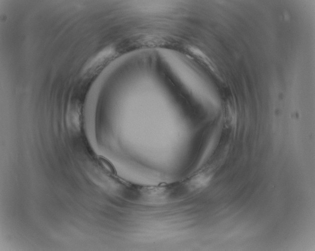 X0000075860334200610151641