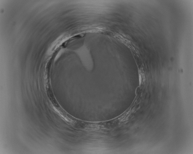 X0000075860339200610151641