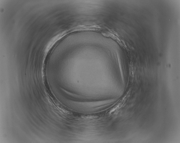 X0000075860340200610151641