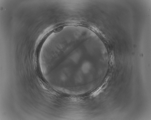 X0000075860343200610151641