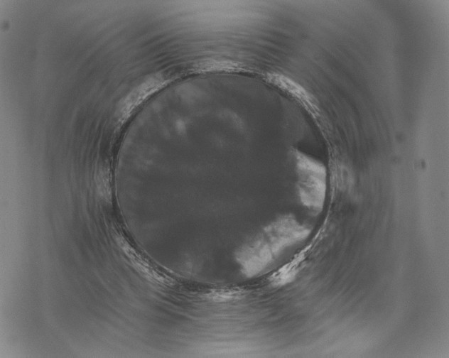 X0000075860345200610151641