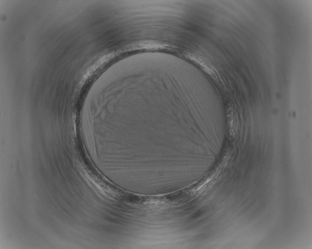 X0000075860350200610151641