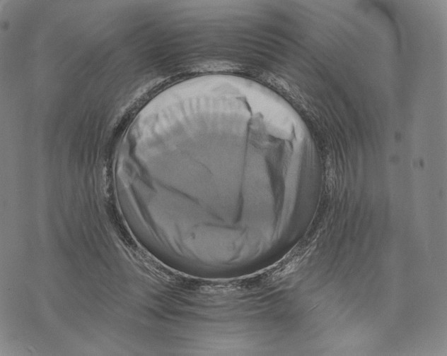 X0000075860351200610151641
