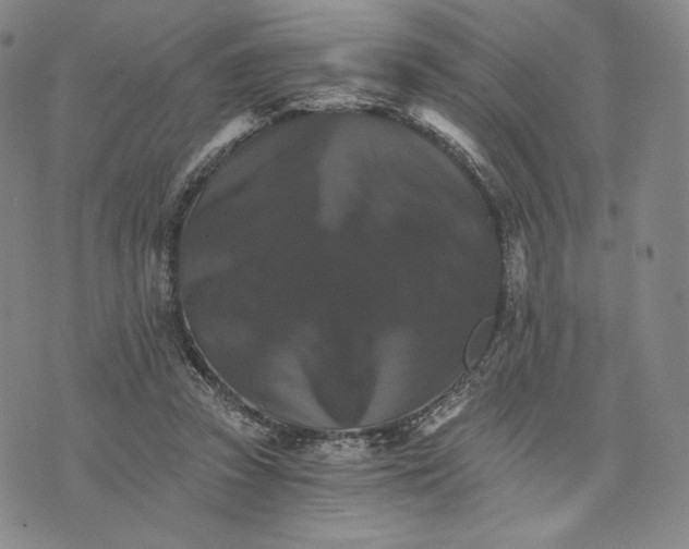 X0000075860353200610151641
