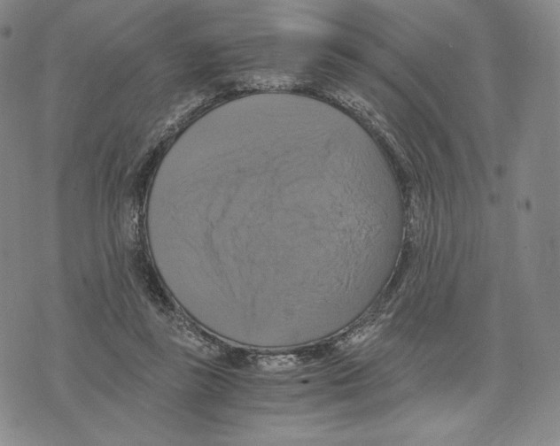 X0000075860355200610151641