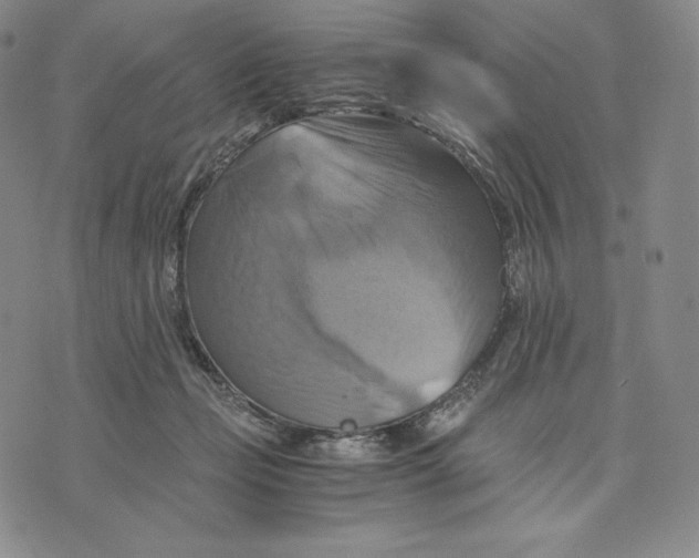 X0000075860365200610151641