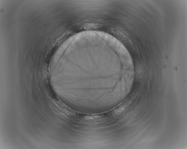 X0000075860367200610151641