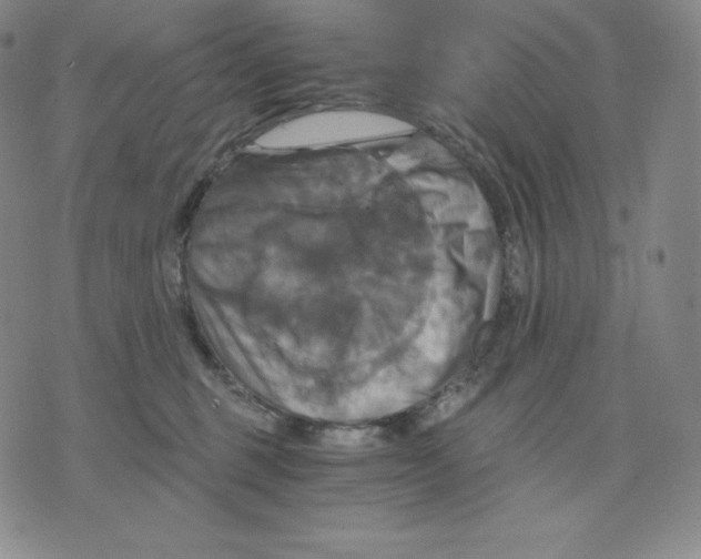 X0000075860375200610151641