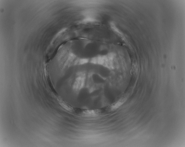 X0000075860381200610151641