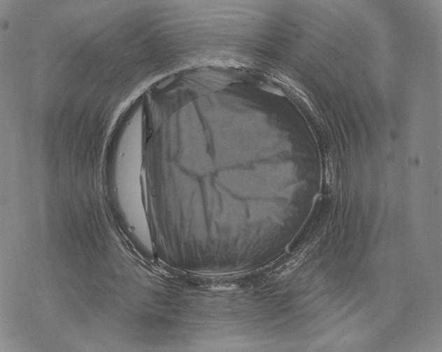 X0000075860388200610151641
