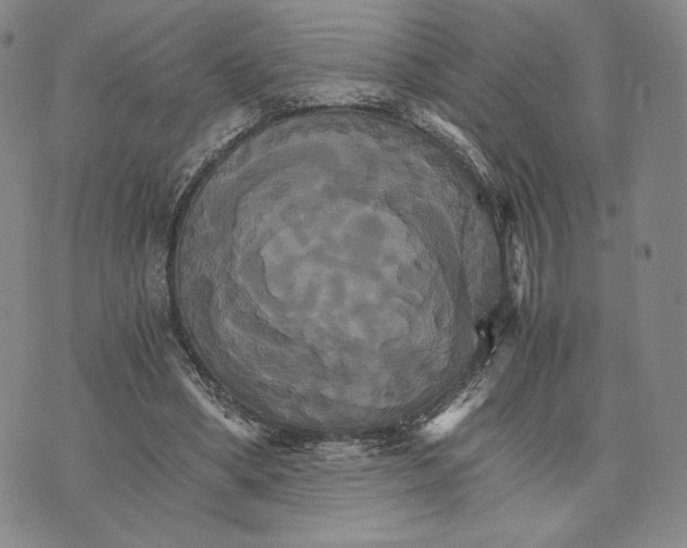 X0000075860394200610151640