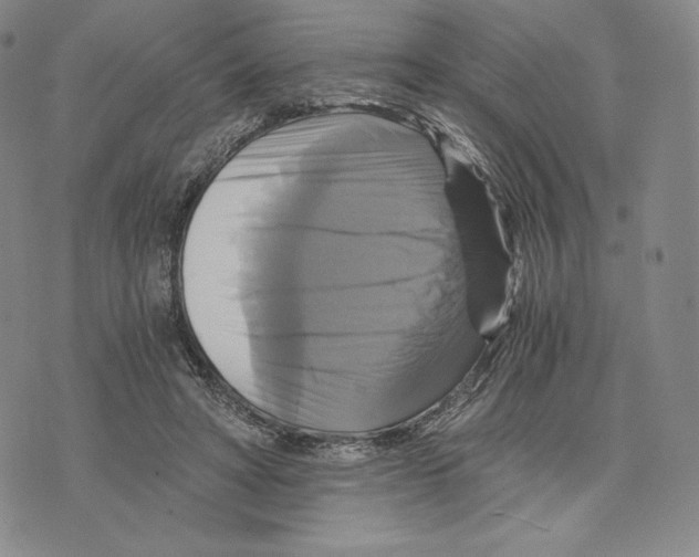 X0000075860402200610151640