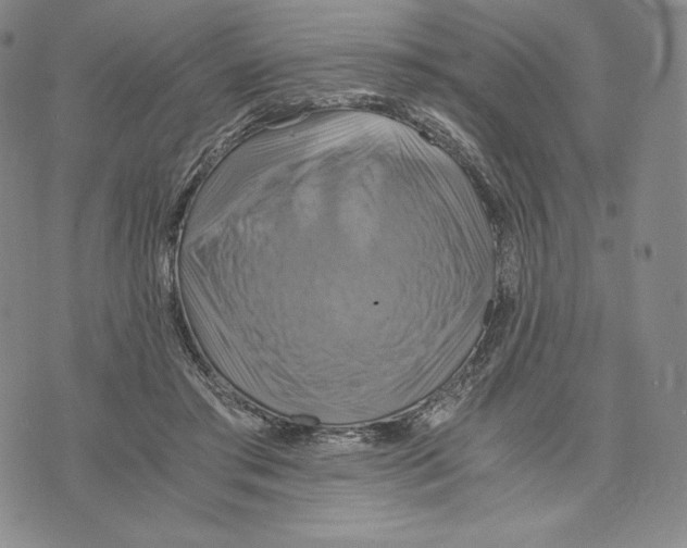 X0000075860405200610151640