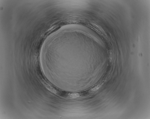 X0000075860409200610151640
