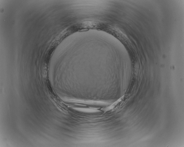 X0000075860413200610151640