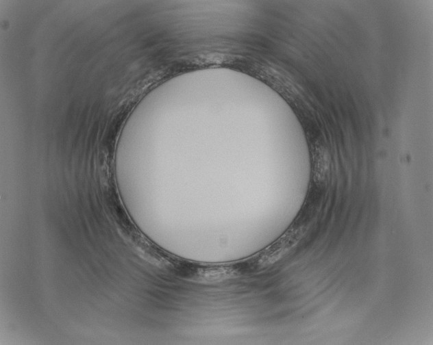 X0000075860414200610151640