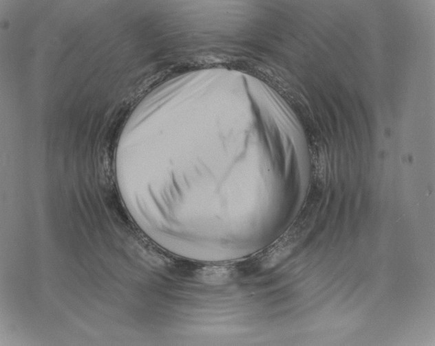 X0000075860418200610151640