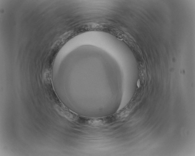 X0000075860419200610151640