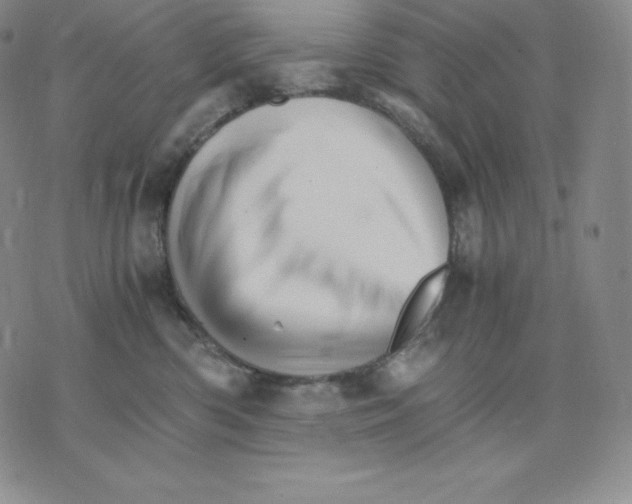 X0000075860426200610151640
