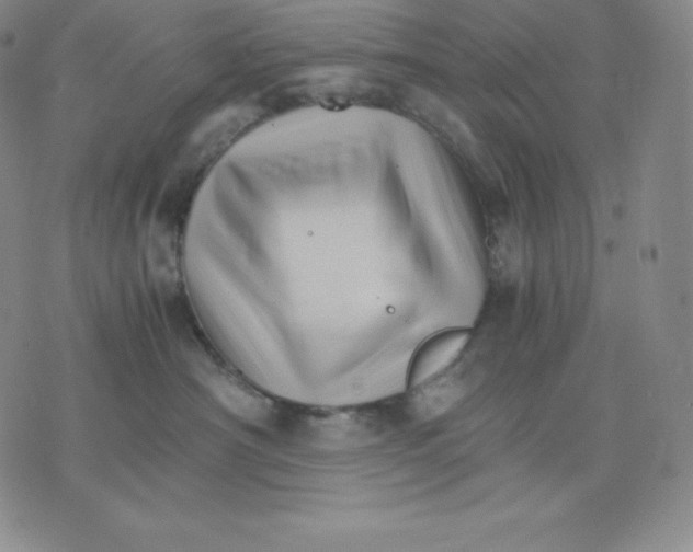 X0000075860430200610151640