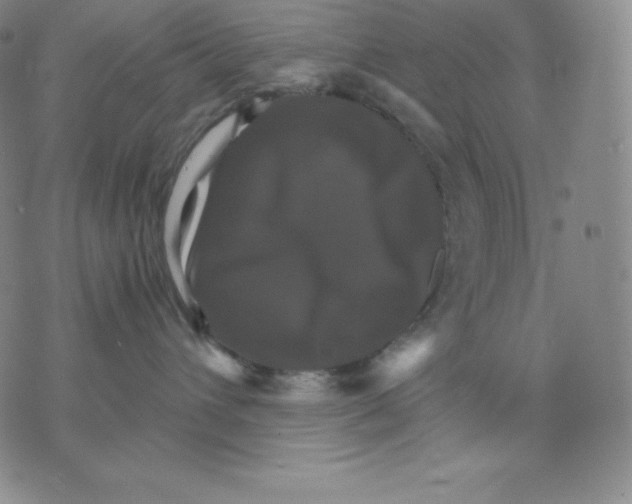 X0000075860432200610151640