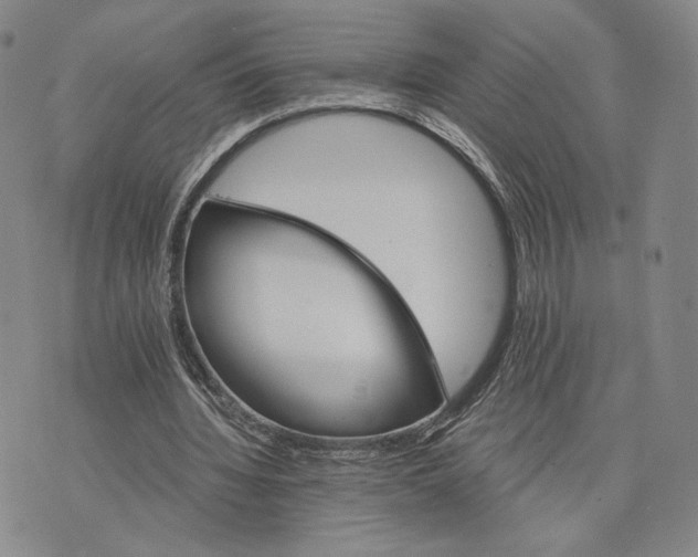 X0000075860436200610151639
