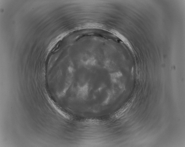 X0000075860437200610151639