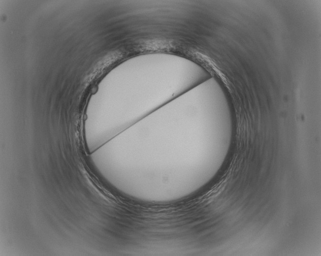 X0000075860443200610151639