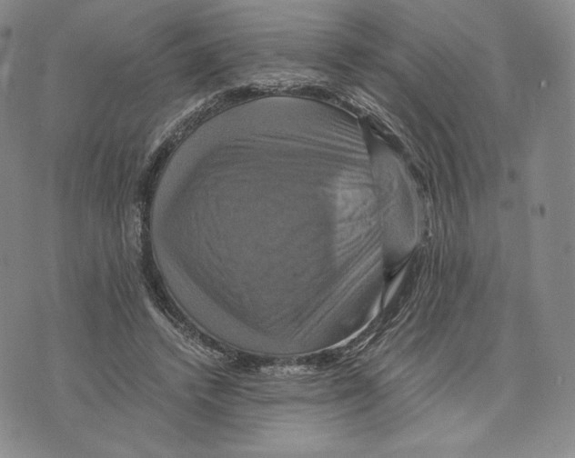 X0000075860448200610151639