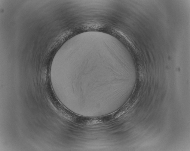 X0000075860451200610151639