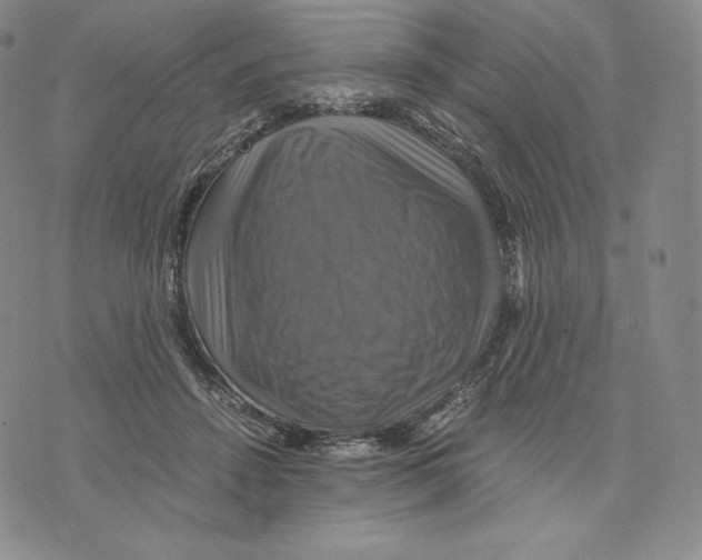 X0000075860456200610151639