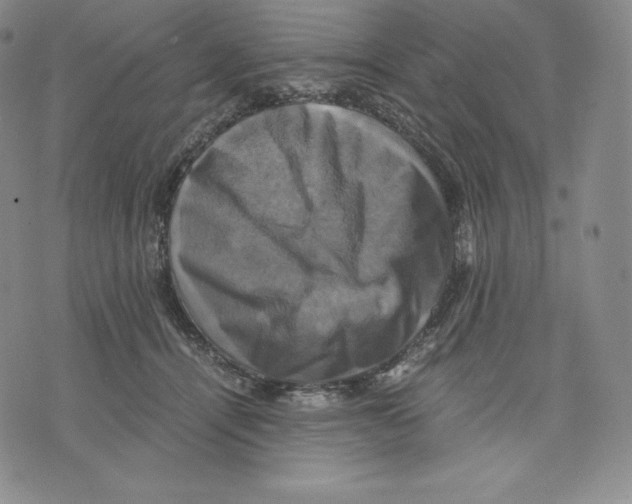 X0000075860464200610151640