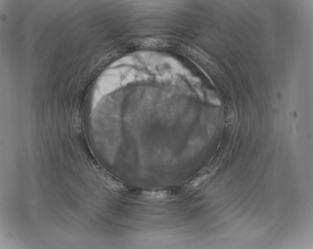 X0000075860469200610151640