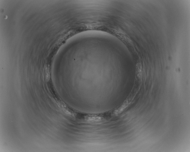 X0000075860471200610151640