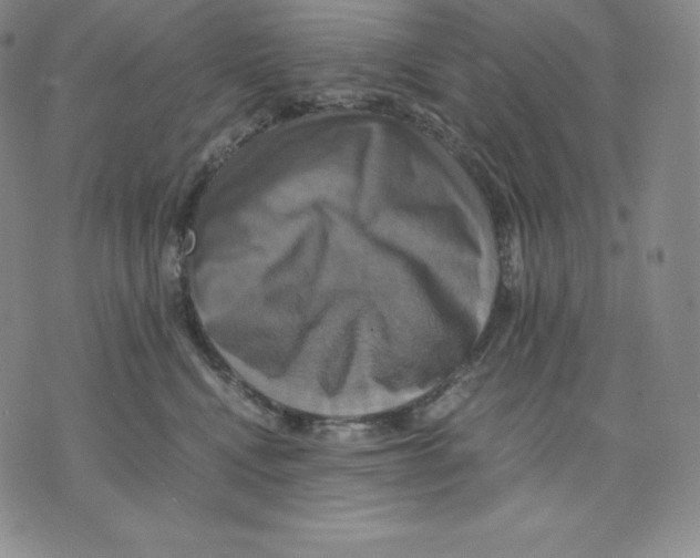 X0000075860472200610151640